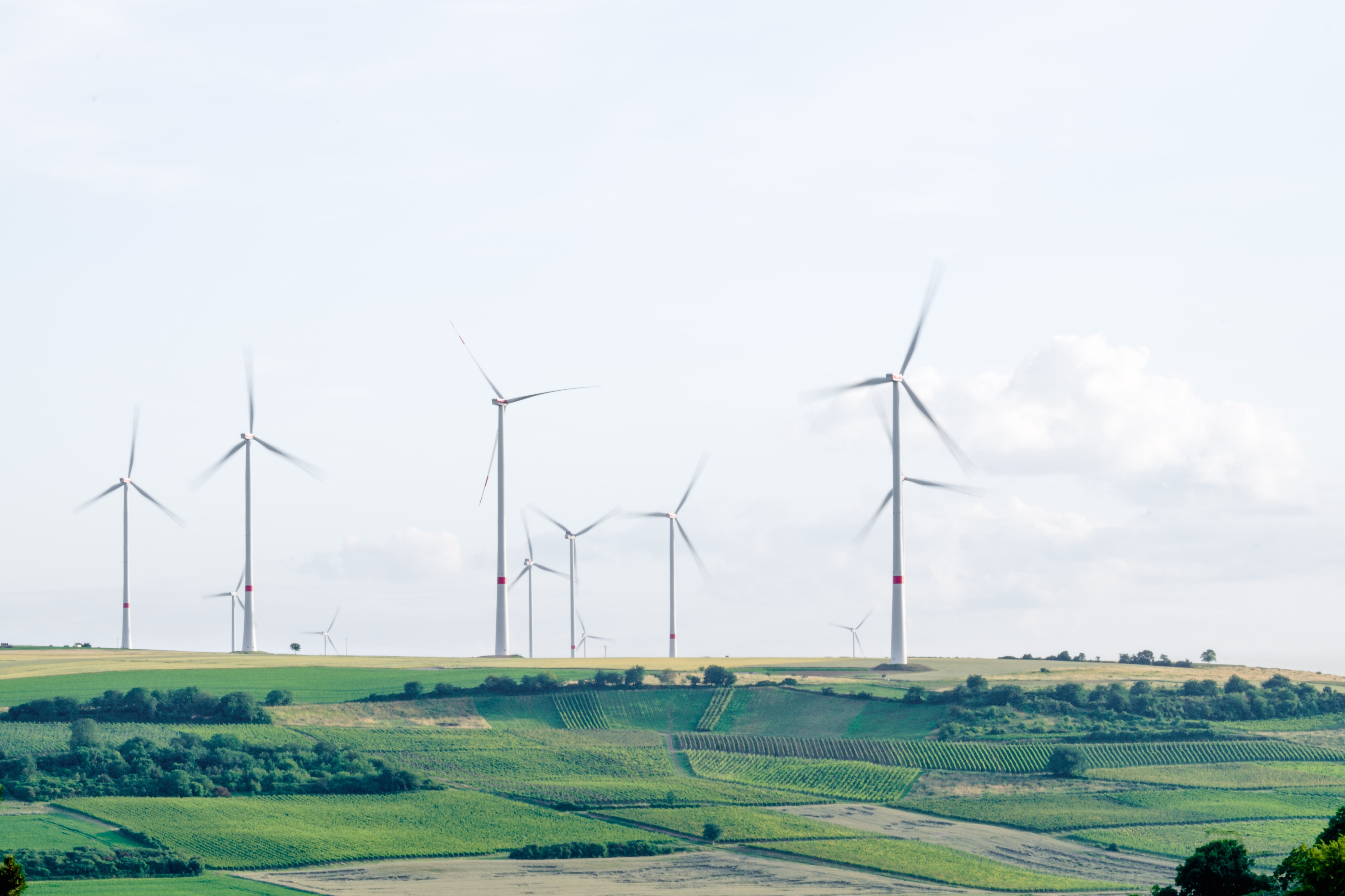 Sustainability